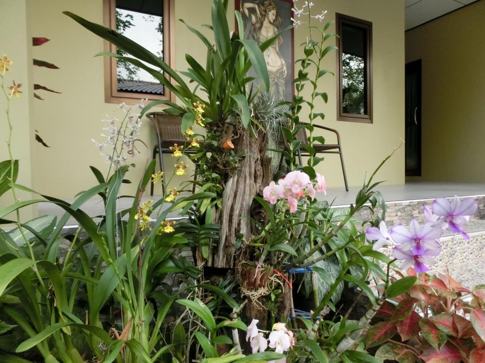 Big House Resort Trat Exterior foto